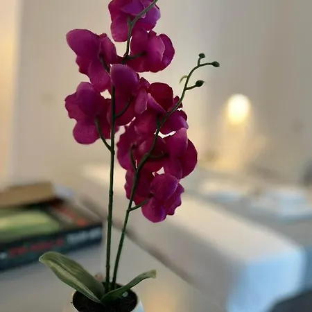 Mertiza Aparthotel *